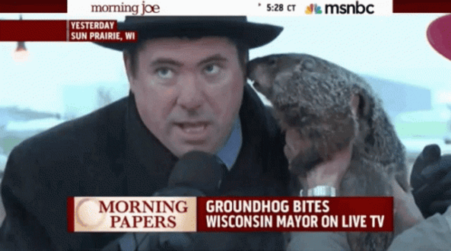 Groundhog Bites Mayor